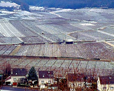 Light snowfall on the vineyards at   SavignylesBeaune   Cote de Beaune