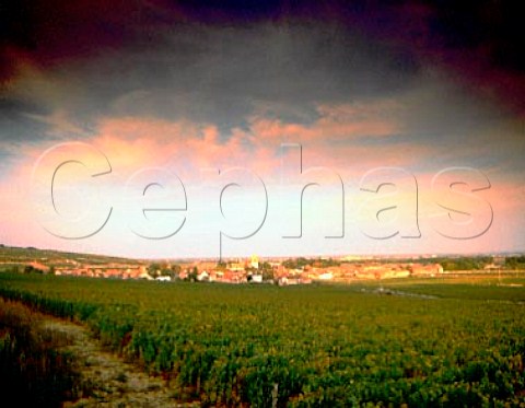 Village of Pommard viewed over Les RugiensBas   vineyard Cote de Beaune Premier Cru