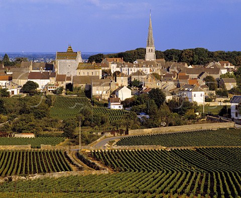 Village of Meursault Cte dOr France   Cte de Beaune