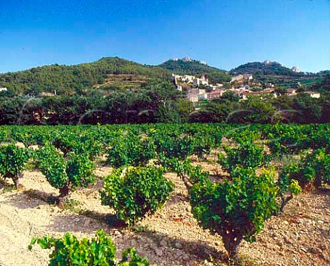 Vineyard below the old town of Gigondas Vaucluse   France   Gigondas