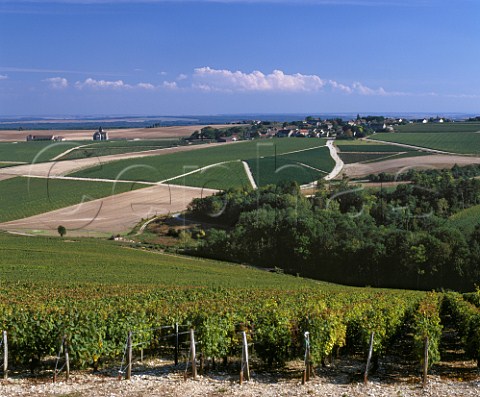 Village and vineyards of Prhy with the winery of JeanMarc Brocard on left viewed over vineyards near Courgis  Yonne France   AC Chablis