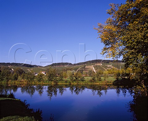 View over the Serein River to the Grand Cru   vineyards of Chablis Yonne France