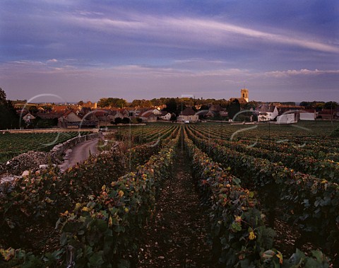 Dusk falls over the village and vineyards of Pommard Cte dOr France  Cte de Beaune