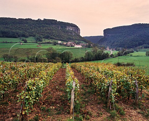 Vineyard near BaumelesMessieurs with the Cirque de Baume in distance Jura France Ctes du Jura