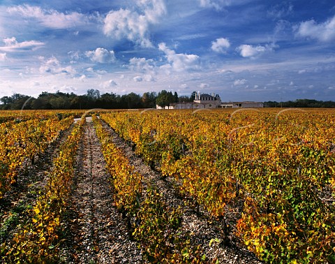 Chteau GrandPuyLacoste and its vineyard on gravel soil Pauillac Gironde France Mdoc  Bordeaux