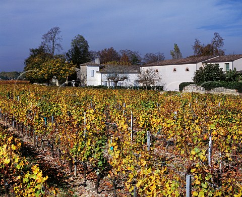 Chteau Rahoul and its autumnal vineyard   Portets Gironde France Graves  Bordeaux