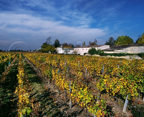 Chteau Rahoul viewed over its autumnal vineyard Portets Gironde France   Graves  Bordeaux