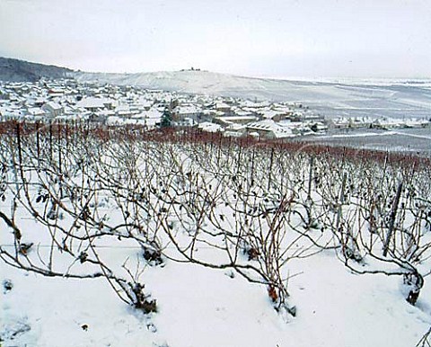 Snow blankets the vineyards and village of   Verzenay on the Montagne de Reims Marne France      Champagne