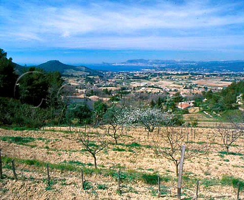 Vineyards north of Bandol with in the distance   StCyrsurMer and La Ciotat     Var France   Bandol  Ctes de Provence