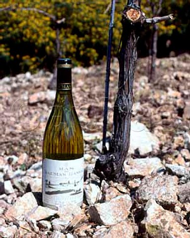 Bottle of 1994 Mas de Daumas Gassac white wine by   Viognier vine The wine is a blend of mainly   Viognier Chardonnay and Petit Manseng Aniane   Herault France