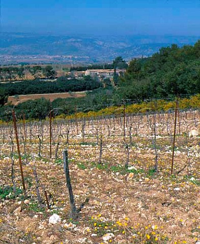 Mas de Daumas Gassac view over Viognier vineyard to   the farmhouse Mas and the Gorges de lHrault    beyond    Aniane Hrault France