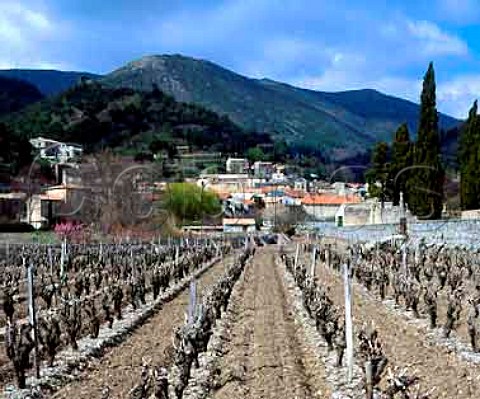 Cabrespine village and vineyard at the foot of the   Montagne Noire Herault France   AC Minervois