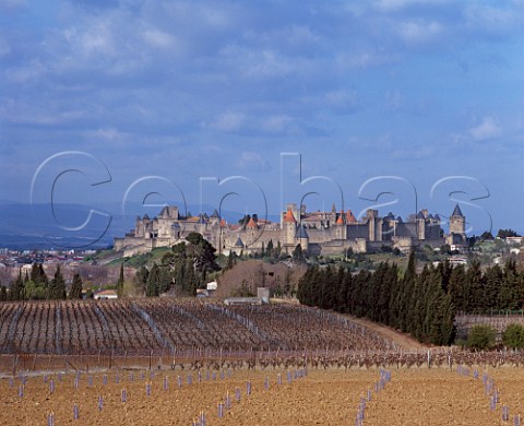 Carcassonne viewed over vineyards Aude France   AC Malepre