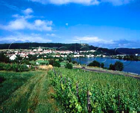 Vineyards by the Moselle at ContzlesBains   Moselle France VDQS Vins de Moselle