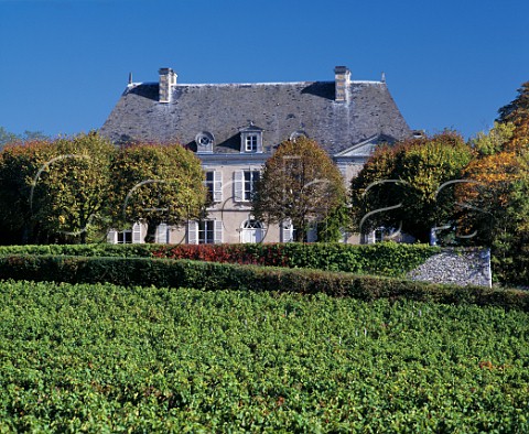 Domaine aux Moines and Chenin Blanc vineyard Savennires MaineetLoire France Savennires