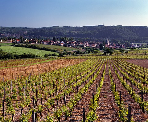 Vineyards above Epineuil and the Armanon Valley with Tonnerre in the distance  Yonne France Bourgogne Epineuil