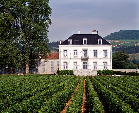 Chteau de PulignyMontrachet and chardonnay vineyard PulignyMontrachet Cte dOr France Cte de Beaune