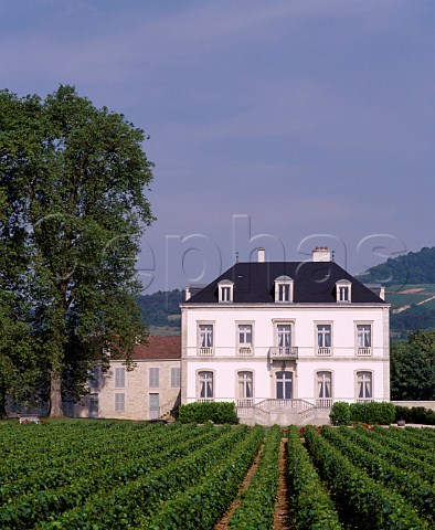 Chteau de PulignyMontrachet and its Chardonnay vineyard PulignyMontrachet Cte dOr France Cte de Beaune
