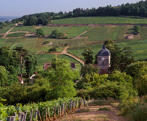 Church and vineyards of ChambolleMusigny Cte dOr France  Cte de Nuits