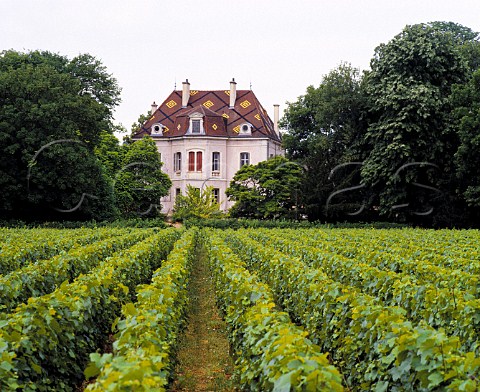 Domaine des Comtes Lafon in Clos de la Barre   vineyard Meursault Cte dOr France    Cte de Beaune