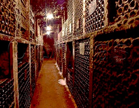Vintage bottle cellar of Domaine de lArlot   PremeauxPrissey Cote dOr France
