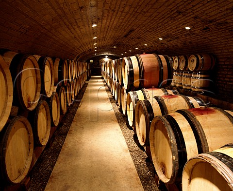 Barrel cellar of Robert JayerGilles   MagnylsVillers Cte dOr France