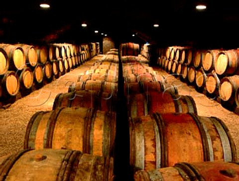 Barrel cellar of Domaine des Comtes Lafon   Meursault Cote dOr France