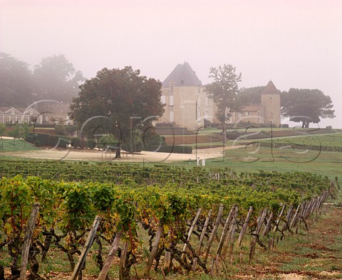 Chteau dYquem on a misty harvest time morning   Sauternes Gironde France  Sauternes  Bordeaux