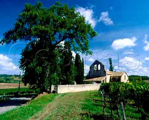Vineyards by the old church at Bossugan Gironde   France  EntreDeuxMers  Bordeaux