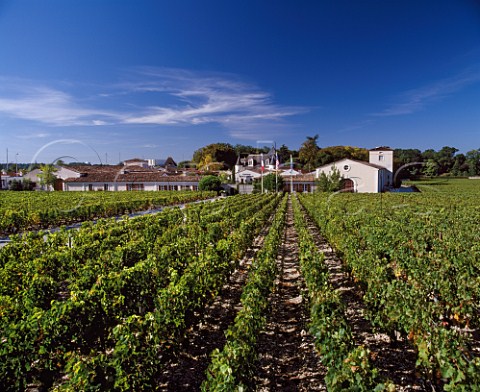 Chteau HautBrion viewed from its vineyard Pessac   Gironde France PessacLognan  Bordeaux