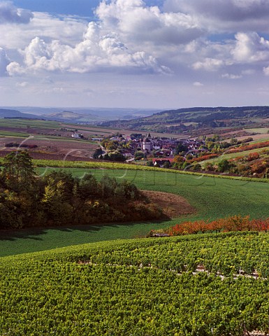 Vineyards above the village of Chitry Yonne France  AC Bourgogne Chitry