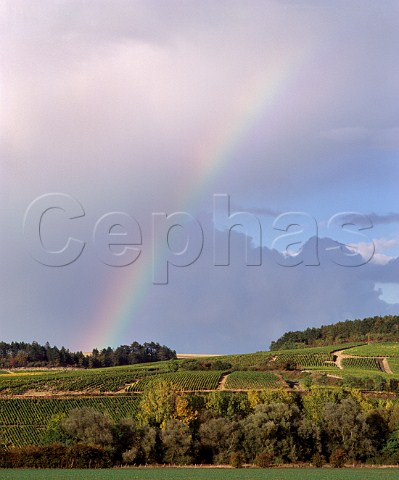 Harvest time rainbow over Bougros and Les Preuses   vineyards Chablis Yonne France   Chablis Grand   Cru