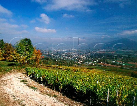 Vineyards above Apremont with Chambery in the   distance  Savoie France AC Vin de SavoieApremont