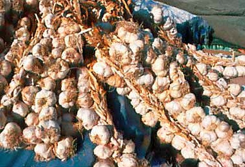 Garlic on sale Argostoli Cephalonia   Greece