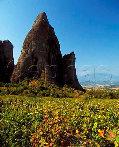 Vineyard below some of the rock pinnacles of the   Meteora Thessaly Greece