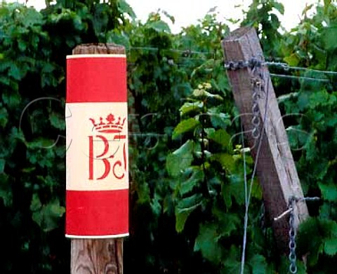 Marker post in vineyards of BassermannJordan   at Deidesheim Pfalz Germany   Bereich  Mittelhaardt Deutsche Weinstrasse