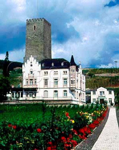 Rosengarten vineyard einzellage with Weingut Carl   Jung and the 12thcentury tower of Boosenburg Castle   Rdesheim Germany       Rheingau