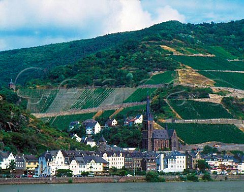 Lorch and its vineyards viewed from across the   Rhine Germany    Rheingau