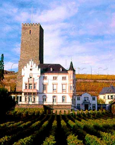Rosengarten vineyard with Weingut Carl Jung and the   12thcentury tower of Boosenberg Castle Rdesheim   Germany      Rheingau