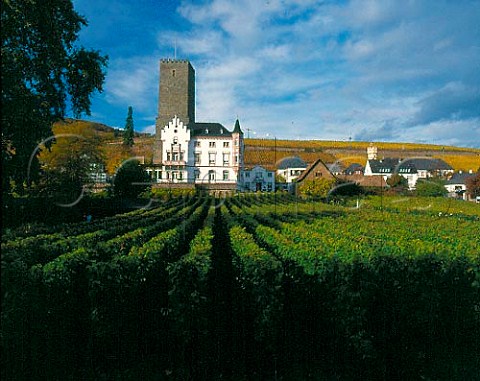 View over Rosengarten vineyard to Weingut Carl Jung   and the 12thcentury tower of Boosenberg Castle   Rdesheim Germany   Rheingau