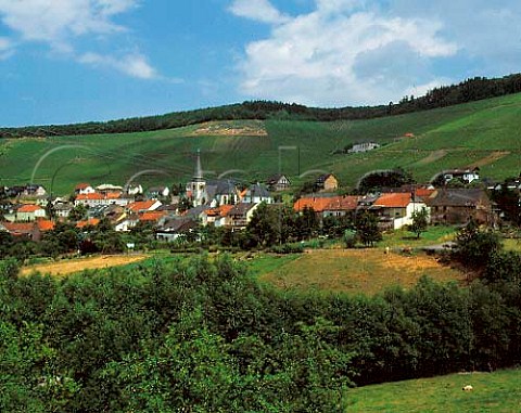 Village of Ockfen with the Bockstein vineyard   behind Saar Germany  Mosel