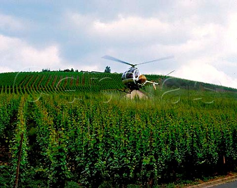 Spraying vineyards by helicopter at Neumagen   Germany   Mosel