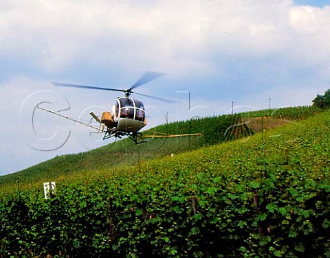 Spraying vineyards by helicopter at Neumagen   Germany   Mosel