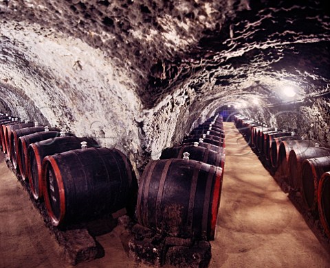 Barrels in the ancient mouldcovered cellars of   Tokaj Kereskedhz Tolcsva Hungary  Tokaji