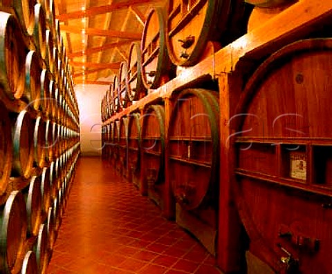 Botti of Marsala Superiore Secco and barriques of   table wine in the cellars of Carlo Pellegrino   Marsala Sicily