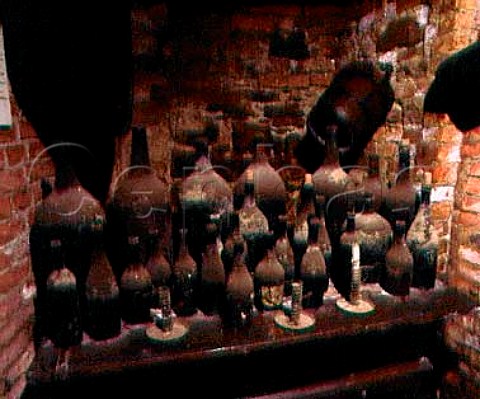 Old bottles in the wine museum of   Renato Ratti La Morra Piemonte Italy