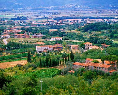 Montecarlo Tuscany Italy