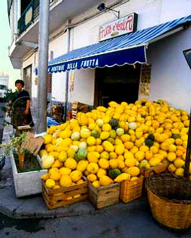Melons for sale    Salice Salentino Puglia Italy