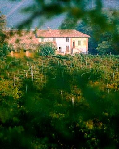Frecciarossa Estate Casteggio Lombardy Italy  Oltrep Pavese