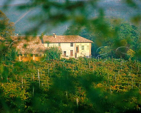Frecciarossa Estate at Casteggio Lombardy  Italy   Oltrep Pavese
